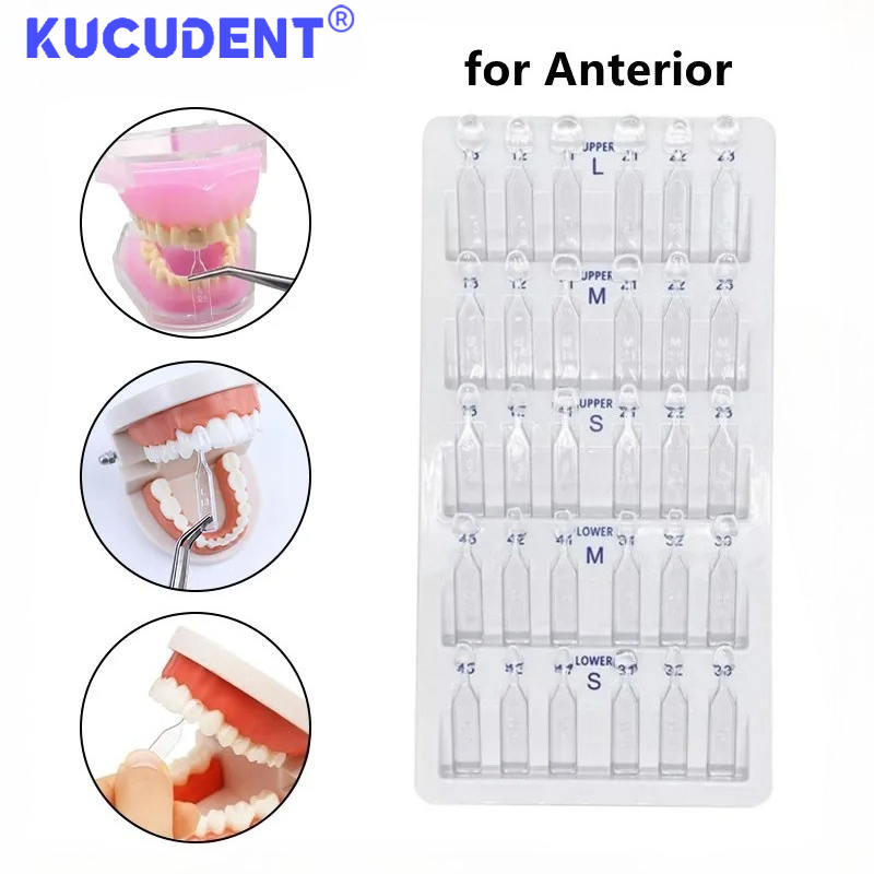 Teeth Whitening Moulds - 30 adet/set Diş Kaplama Kalıbı, Ön