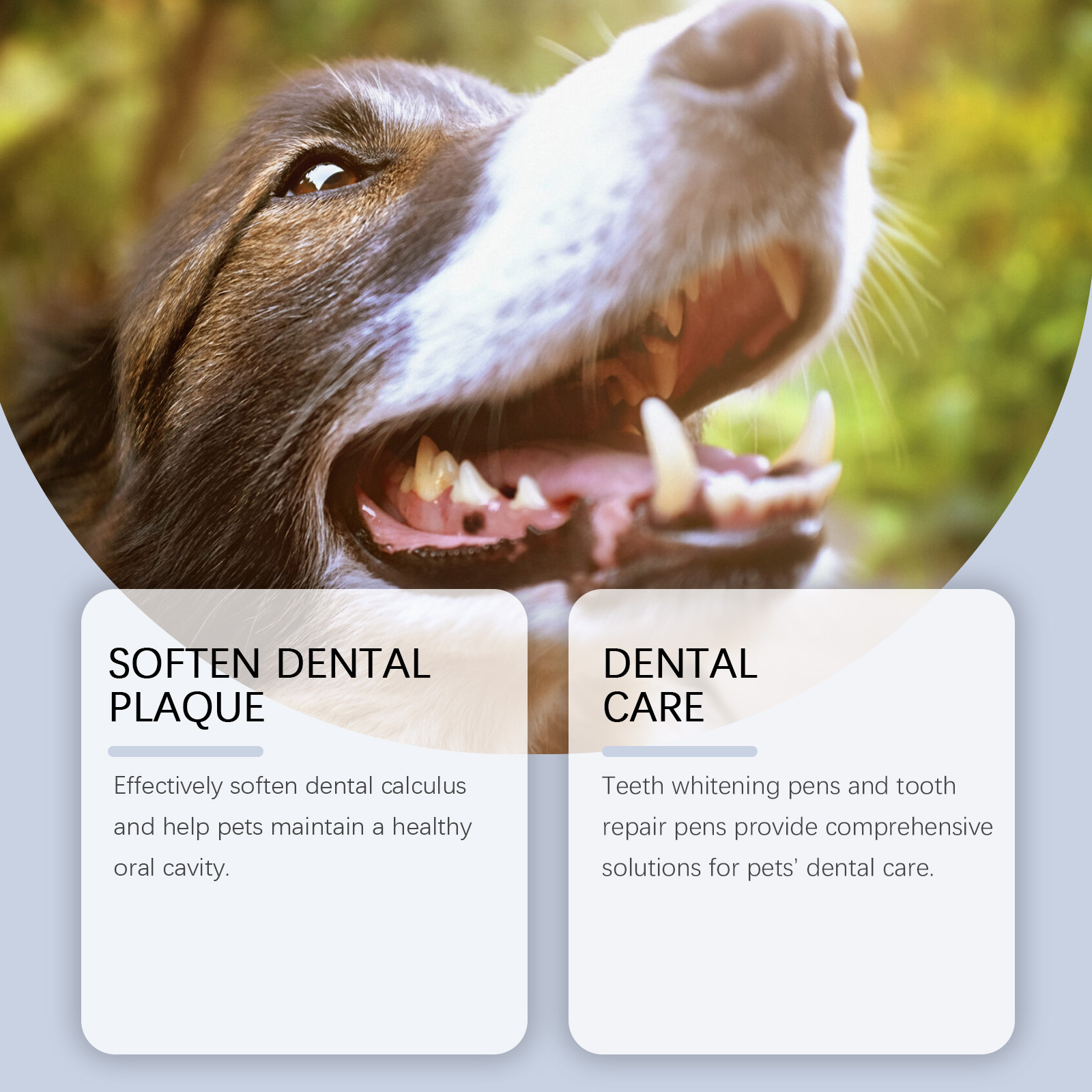 Köpekler ve Kediler İçin Diş B - Teeth Whitening Pens incelemesi ve fiyatı