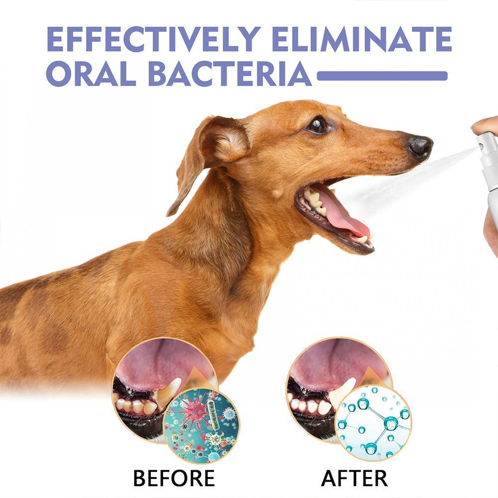 Evcil Hayvanlar İçin Ağız Spre - Teeth Whitening Mouthwash incelemesi ve fiyatı