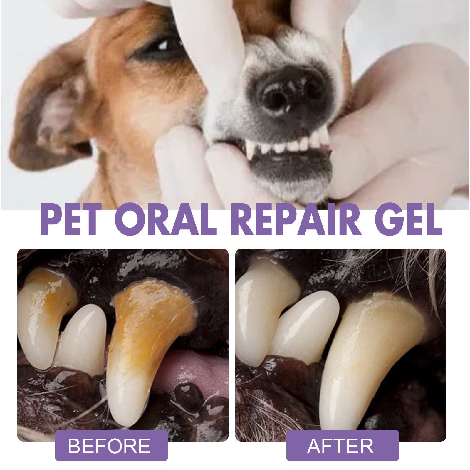 Pet Oral Onarım Jeli Yavru Tar - Teeth Whitening Mouthwash incelemesi ve fiyatı